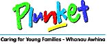 Plunket Car Seats